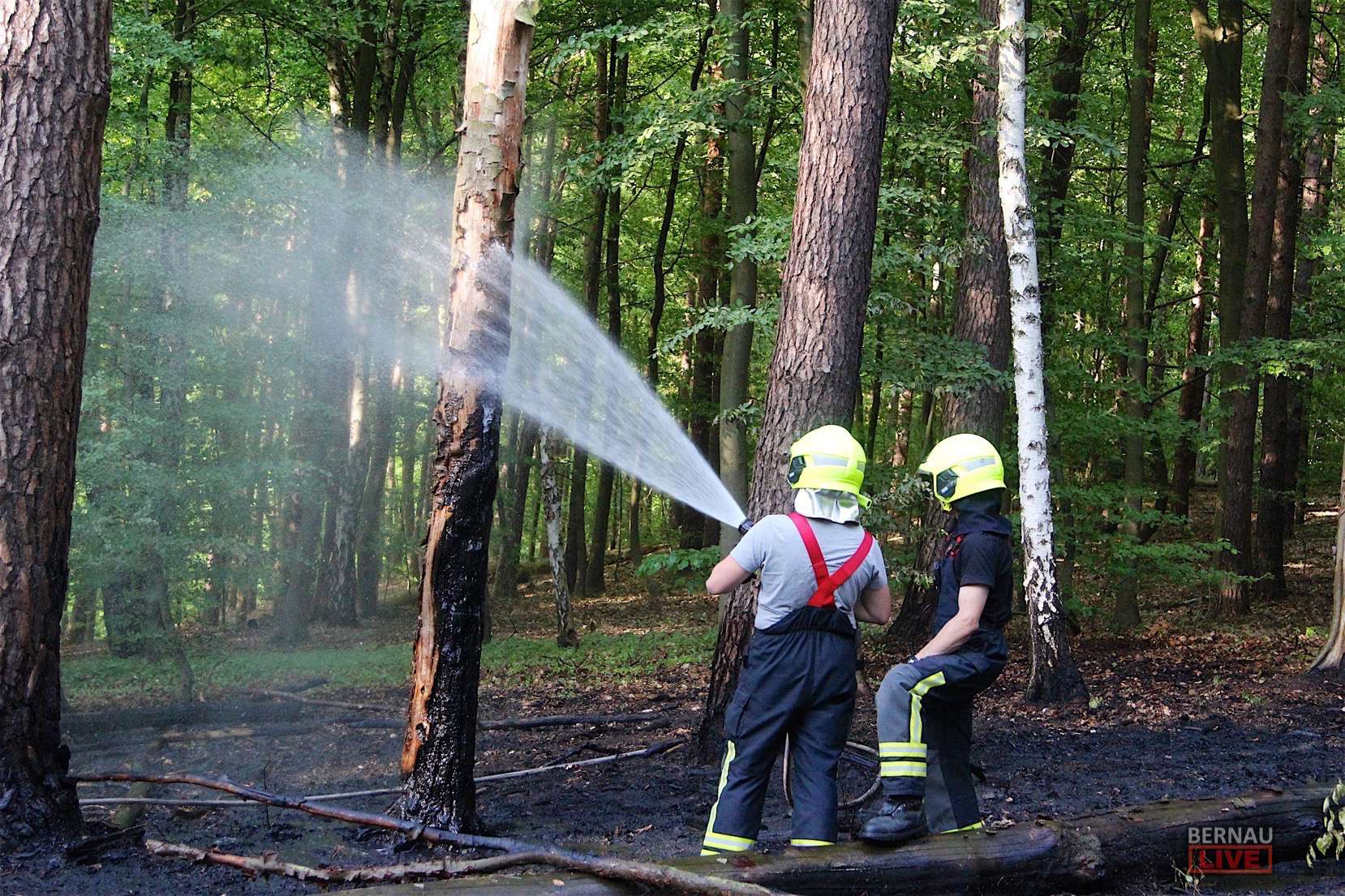 Barnim: Wald/Flächenbrand Nahe des Liepnitzsees