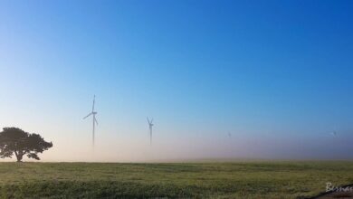 Verhindert ein Windrad ein neues Wohngebiet in Lobetal?