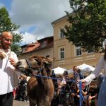 3 Tage Hussitenfest Bernau - Hunderte Bilder und Videos online 274 Bernau LIVE