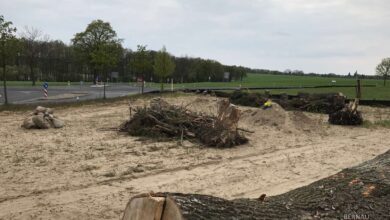 Statt Radweg Tempo 70 auf der L200 - Wullwinkel - Biesenthal