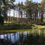 Auf dem Weg zum Weltkulturerbe - zu Gast im Bauhausdenkmal Bernau 8 Bernau LIVE