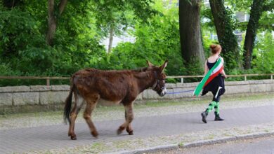 Euch einen schönen Mittwoch in Bernau und Drumherum 15 Euch einen schönen Mittwoch in Bernau und Drumherum