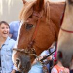 3 Tage Hussitenfest Bernau - Hunderte Bilder und Videos online 108 Bernau LIVE