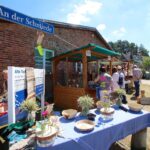 112. Jahresfest in Lobetal mit Festgottesdienst eröffnet 33 Bernau LIVE