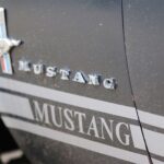 20 Jahre Roadrunner´s Paradies Race 61 – Was für eine Party! 22 Bernau LIVE