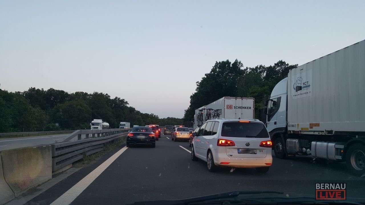 Bernau (Halle): Zwei Schwäne haben vor wenigen Minuten die Autobahn A9 für ihrem Fußweg auserkoren. Seelenruhig spazierten die beiden auf der linken Spur