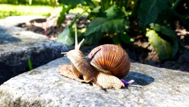 Bernau: Guten Morgen und Euch einen sommerlichen Dienstag