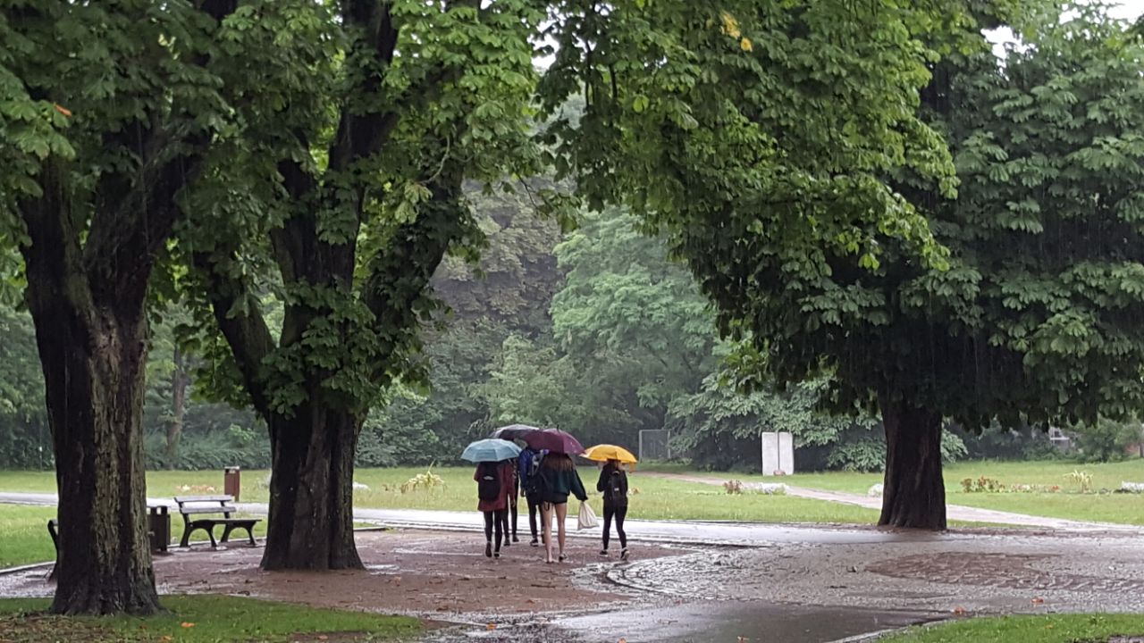 Bernau - Barnim: Regen, Regen, Regen - ab Mittag wird es weniger