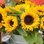 Bernau: Wochenmarkt - Spezial und Fahhrad-Check/Tipps am Bahnhof 4 Bernau LIVE