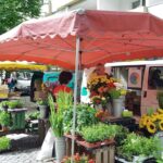 Bernau: Wochenmarkt - Spezial und Fahhrad-Check/Tipps am Bahnhof 2 Bernau LIVE