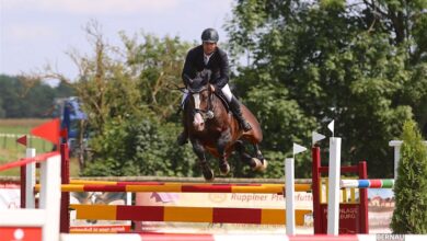 Spitzensport im Pferdesattel zog hunderte Besucher nach Ladeburg