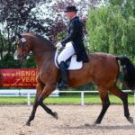 Spitzensport im Pferdesattel zog hunderte Besucher nach Ladeburg 27 Bernau LIVE