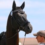 Spitzensport im Pferdesattel zog hunderte Besucher nach Ladeburg 24 Bernau LIVE