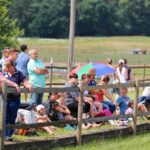 Spitzensport im Pferdesattel zog hunderte Besucher nach Ladeburg 17 Bernau LIVE