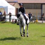 Spitzensport im Pferdesattel zog hunderte Besucher nach Ladeburg 13 Bernau LIVE
