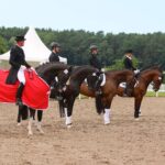 Spitzensport im Pferdesattel zog hunderte Besucher nach Ladeburg 6 Bernau LIVE