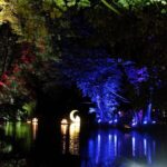 Großartig: Drei Tage Inselleuchten Marienwerder 2017 100 Großartig: Drei Tage Inselleuchten Marienwerder 2017