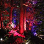 Großartig: Drei Tage Inselleuchten Marienwerder 2017 131 Großartig: Drei Tage Inselleuchten Marienwerder 2017