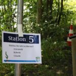 Barnim: Neptunfest in Lanke & Dorf- und Vereinsfest in Tempelfelde 17 Bernau LIVE