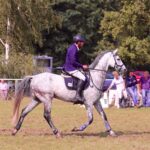Reit- und Springturnier in Rüdnitz trotz Regen ein voller Erfolg 11 Bernau LIVE