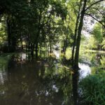 Feuerwehr Bernau 16 Stunden im (Regen) Dauereinsatz - Danke! 46 Bernau LIVE
