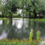 Feuerwehr Bernau 16 Stunden im (Regen) Dauereinsatz - Danke! 35 Bernau LIVE