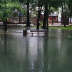 Feuerwehr Bernau 16 Stunden im (Regen) Dauereinsatz - Danke! 39 Bernau LIVE