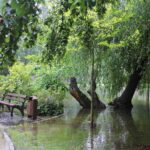 Feuerwehr Bernau 16 Stunden im (Regen) Dauereinsatz - Danke! 40 Bernau LIVE