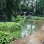 Feuerwehr Bernau 16 Stunden im (Regen) Dauereinsatz - Danke! 36 Bernau LIVE