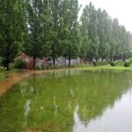 Feuerwehr Bernau 16 Stunden im (Regen) Dauereinsatz - Danke! 41 Bernau LIVE