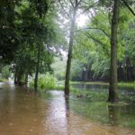 Feuerwehr Bernau 16 Stunden im (Regen) Dauereinsatz - Danke! 38 Bernau LIVE