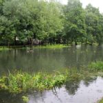 Feuerwehr Bernau 16 Stunden im (Regen) Dauereinsatz - Danke! 20 Bernau LIVE