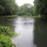 Feuerwehr Bernau 16 Stunden im (Regen) Dauereinsatz - Danke! 11 Bernau LIVE