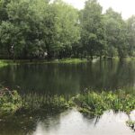 Feuerwehr Bernau 16 Stunden im (Regen) Dauereinsatz - Danke! 33 Bernau LIVE