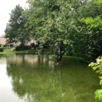 Feuerwehr Bernau 16 Stunden im (Regen) Dauereinsatz - Danke! 32 Bernau LIVE