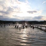 Biesenthal: Alle Bilder zum Wukenseefest im Strandbad Wukensee 107 Bernau LIVE