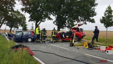 Bernau LIVE - Dein Stadtmagazin
