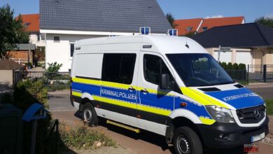 Neugeborenes Mädchen an Grundstückseinfahrt in Panketal abgelegt 14 Neugeborenes Mädchen an Hauseinfahrt in Panketal abgelegt