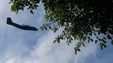 Zum Greifen nah: Was machte der Flieger heute in Schönow? (Video)