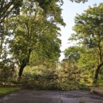 Panketal - Bernau: Fast 100 unwetterbedingte Feuerwehreinsätze 11 Bernau LIVE