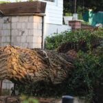 Panketal - Bernau: Fast 100 unwetterbedingte Feuerwehreinsätze 8 Bernau LIVE