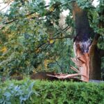 Panketal - Bernau: Fast 100 unwetterbedingte Feuerwehreinsätze 6 Bernau LIVE