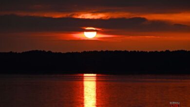 Wandlitz: Ein bisschen Sonne LIVE @ Wandlitzsee