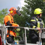 Bernau - Barnim: Meldungen der Polizei und der Feuerwehr 2 Bernau LIVE