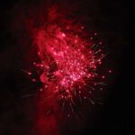 Biesenthal: "Familie" Danewitz feierte ihren 750. Geburtstag 55 Bernau LIVE