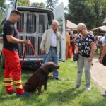 Tag der Vereine und Kunst- und Handwerkermarkt Bernau 14 Bernau LIVE