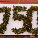 Auftaktveranstaltung zur 750-Jahr-Feier in Danewitz 40 Bernau LIVE