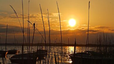 Wir sind dann mal weg für heute – Euch nen schönen Feierabend (Parsteinsee)