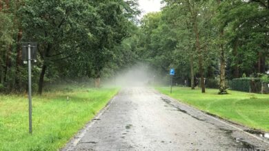 Verkehrssicherheit: Robinienstraße in Bernau bleibt gesperrt