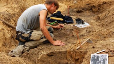 Bernau: Archäologische Funde bei Bauarbeiten zum Neuen Rathaus